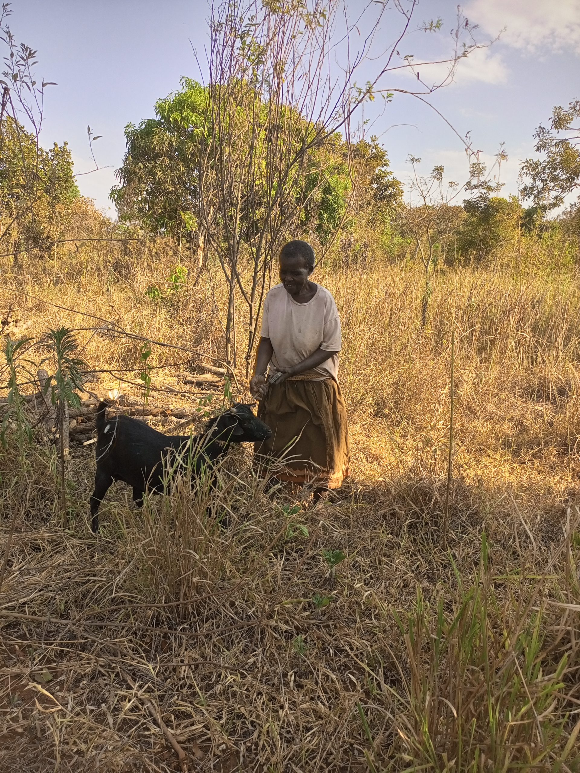 IMG_20250301_171214_248